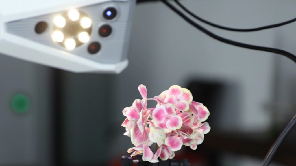 ジュエリーデザインを革新する3Dスキャン技術