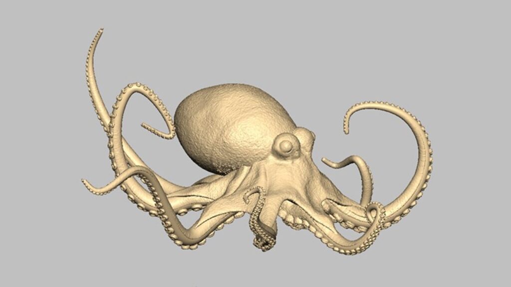 タコのモデリング