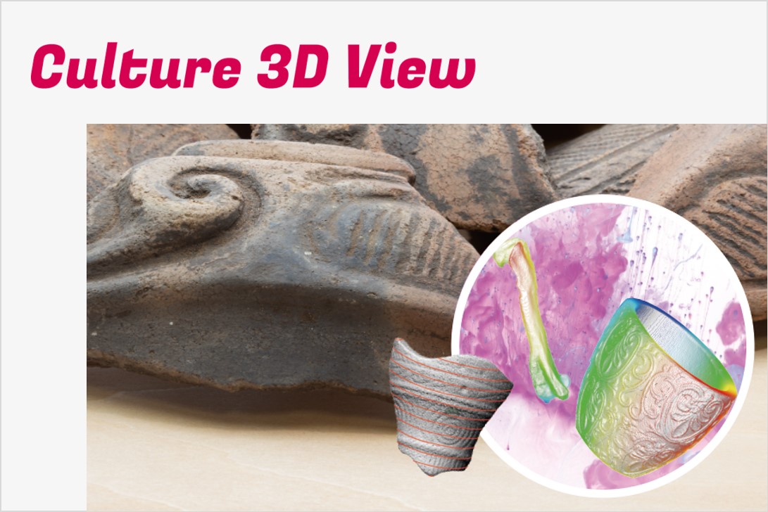 Culture 3D View